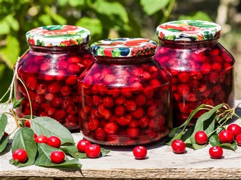 Top 10 Best Canned Cherries Reviews My Chinese Recipes