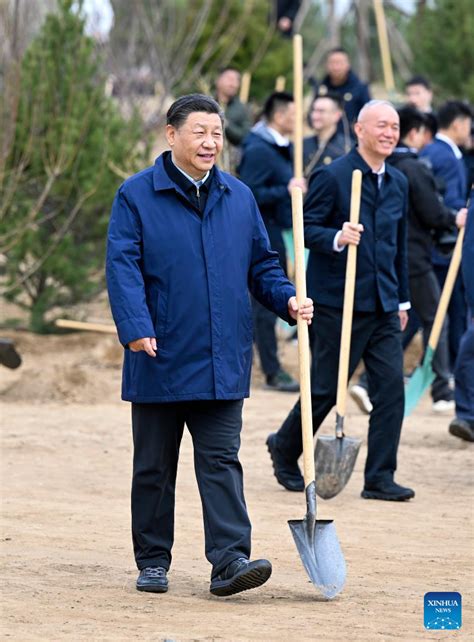 China Steps Up Tree Planting Efforts To Reduce Carbon Emissions Cgtn