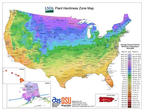Florida Growing Zones Map Printable Maps