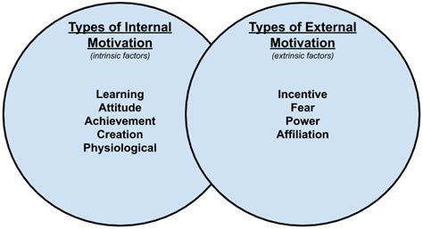 11 Types Of Motivation What They Are And How To Use Them 2020 2022