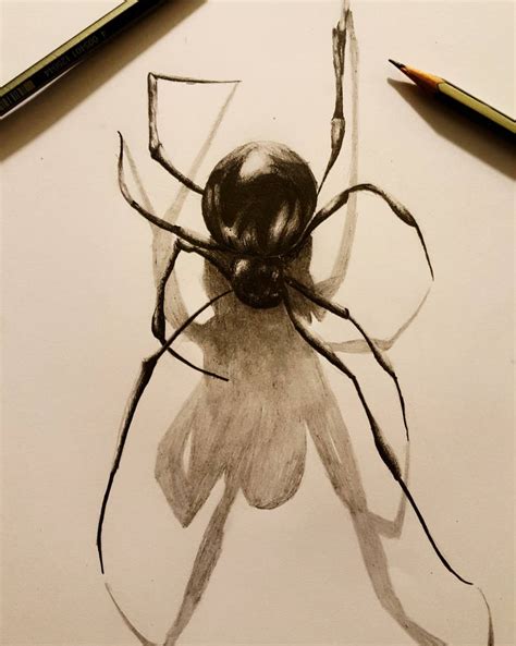 Spider Graphite By Eclipseofink On Deviantart