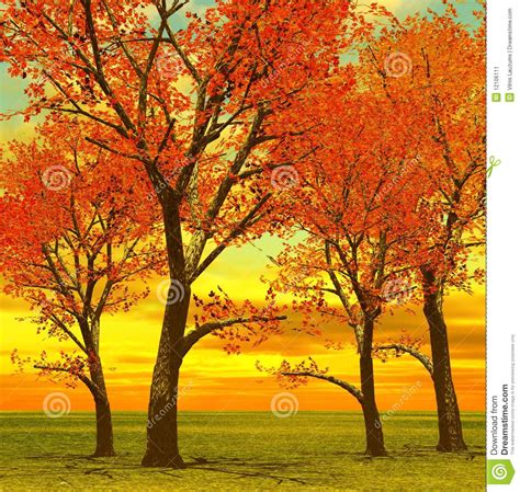 Beautiful Autumn Trees Stock Image Image 12106111