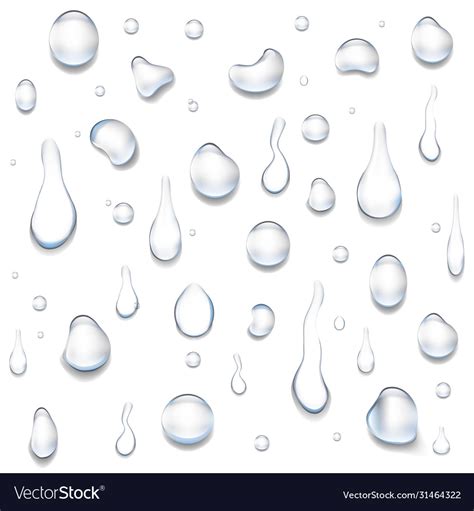 Water Drop Isolated Big Set White Background Vector Image