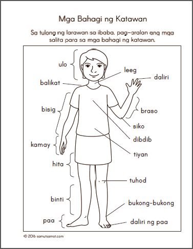 Bahagi Ng Katawan Interactive Worksheet Kulturaupice Vrogue