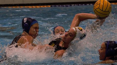 Water Polo Live Stream Favourites Clubs To Watch In Awl Championship