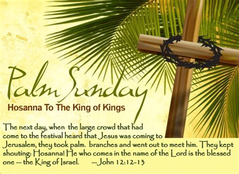 Celebrating Palm Sunday John 1212 13 Wellspring Christian Ministries