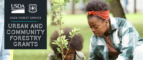Casey Trees Receives 2023 Usda Urban And Community Forestry Grant
