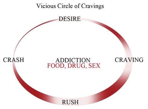 A Diagram Illustrating Four Different Phases Of Drug Sex And Food Download Scientific Diagram