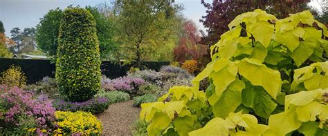 Here's how you can use it to fulfill strong psychological needs and how to start a vegetable garden in a few easy steps. Nursery & Garden | Old Court Nurseries and The Picton Garden