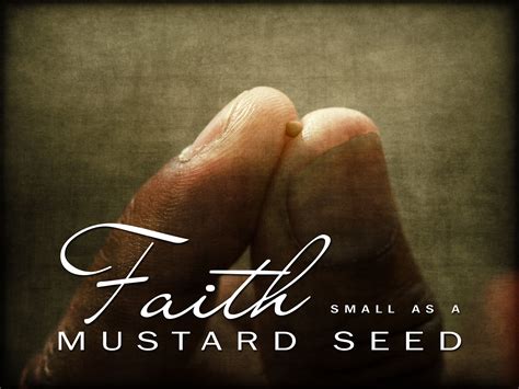 A Little Mustard Seed A Little Faith King David