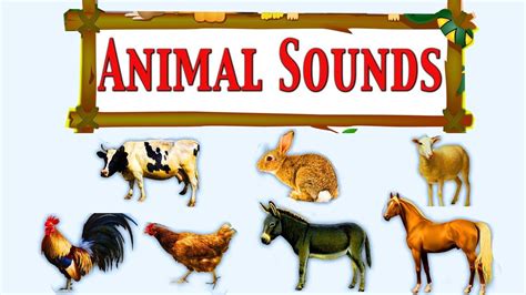Learn Animal Sounds Animal Sounds For Kids Animal Sounds And