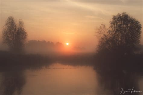 Misty Sunrise A Misty Sunrise On A Autumn Morning Bianca Valkenier