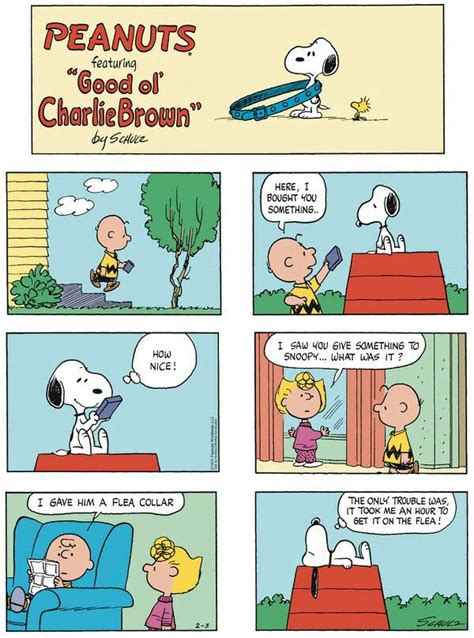 Image By Robbyj Bridwell On See You In The Funny Papers Snoopy Comics