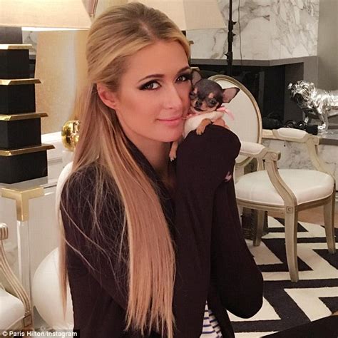 Paris Hilton Proudly Shows Off Her New 8k Teacup Chihuahua On