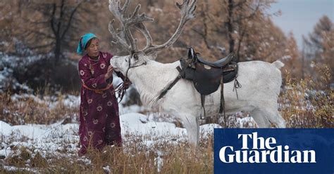 The Reindeer Herders Of Mongolia In Pictures News The Guardian