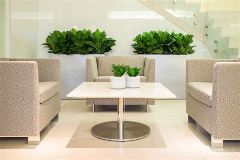 Interiorscape Design Examples Office Plants