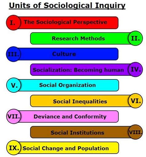 An Introduction To Sociology Sociology Social Science Sociology Courses