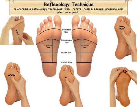 Reflexology Techniques Reflexology Foot Chart Spa Massage Foot Massage Massage Therapy