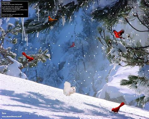 49 Free 3d Winter Desktop Wallpaper Wallpapersafari