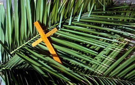 Awesome Palm Sunday Activities For Kids And Families Ministry