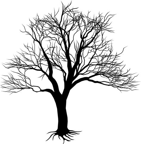 How To Sketch A Tree Without Leaves Clipart Best