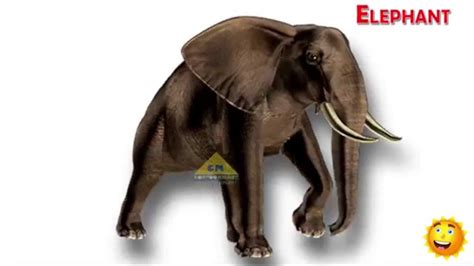 Children s Favorite Animals Learning English Animal Names Kids Learning