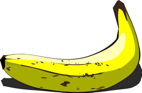 Muat turun gambar cute kartun pisang vektor, pisang clipart, pisang, tangan png atau psd ini secara percuma. Gambar Pohon Pisang Png - Kumpulan Montase, Kolase dan Mozaik