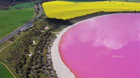 Aggregate 88 About Pink Lakes In Australia Latest Daotaonec
