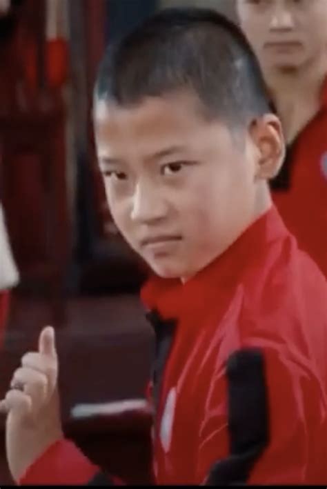 Zhuang The Karate Kid Wiki Fandom