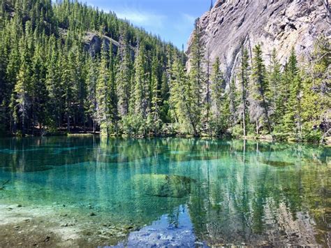 Pine Trees Growing Along The Banks Of Turquoise Water Of Grassi Lakes