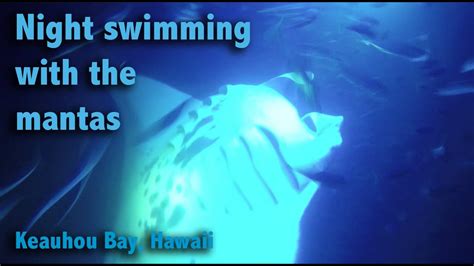 Manta Ray Night Dive In Hawaii Gopro Hero4 Silver Youtube