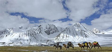 Altai Trek Travel To Mongolia Golden Eagle Festival 2019 Trip