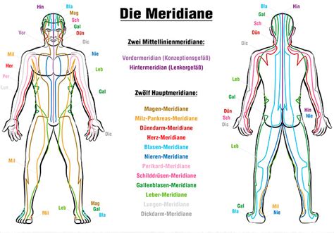 Maybe you would like to learn more about one of these? meridiane-tcm-medizin - vitaloo Gesundheitswissen