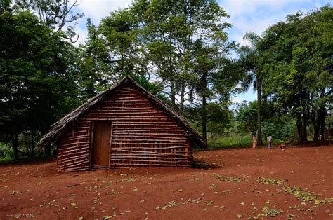 Opy Casa De Oración Mbya Guaraní Miso House Styles Home Decor