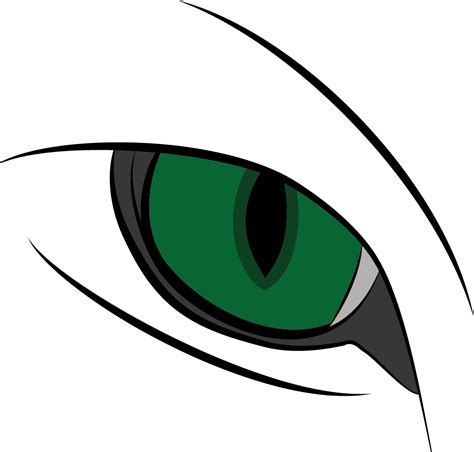 Cat Eyes Png Hd Quality Png All