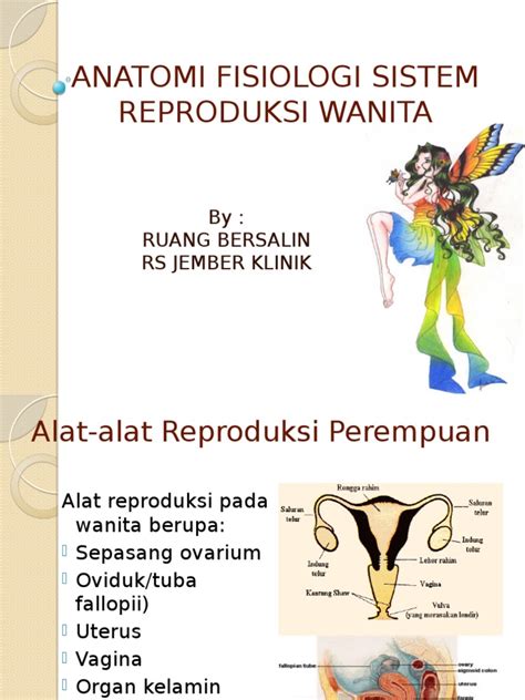 Ppt Sistem Reproduksi Wanita ~ Caritahu