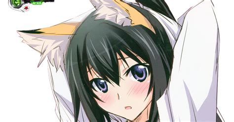 Infinite Stratosshinonono Houki Hyper Sexy Miko Kitsune Render Ors Anime Renders