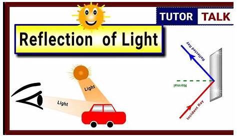 Reflection of Light | Class 10 - YouTube