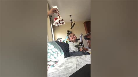 Funny Baby Laughing Hysterically At Dog Youtube