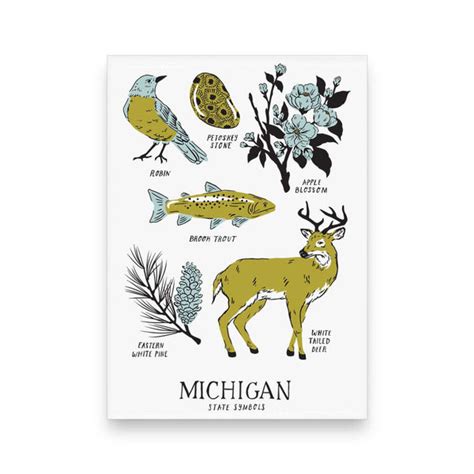 Michigan State Symbols Magnet City Bird