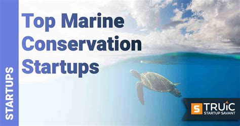 Marine Conservation Startups Conserving Marine Life Truic