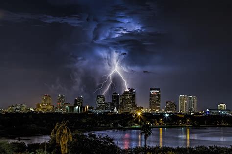 Tampa Bay Lightning  Animated Tampa Bay Lightning Logo  Tampa