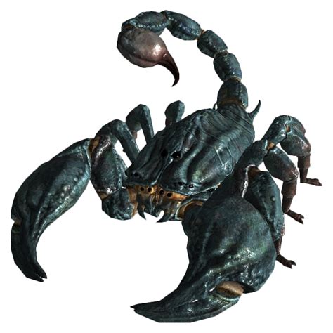 Scorpion Png Transparent Image Download Size 750x750px