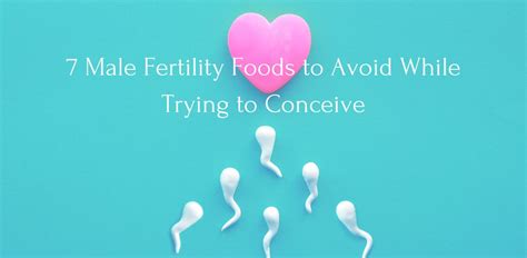 7 Male Fertility Foods To Avoid For Couples Trying To Conceive Well Nourished Mamas