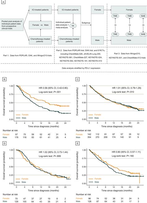 Joint Association Of Patients Sex And Pd‐l1 Expression With Overall Survival Benefits And Tumor