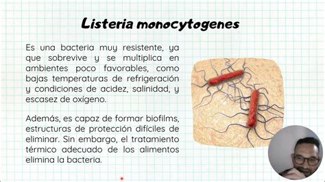 Presentacion Articulo Listeria Monocytogenes Microbiologia Unisalle