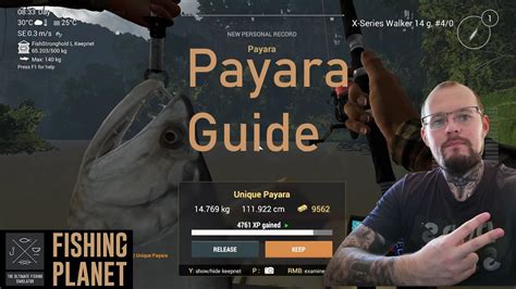 Maybe you would like to learn more about one of these? Fishing Planet: Payara Guide Bolivia Marron River *** Payara Boliwia - YouTube