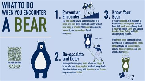 Tips To Survive A Bear Encounter Byu Life Sciences