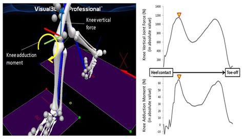 Applied Sciences Free Full Text Ageing Related Gait Adaptations To
