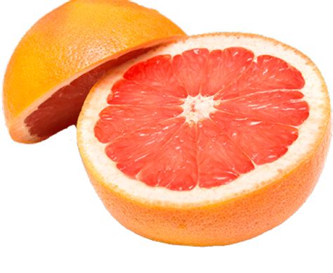 Grapefruit Png Images Transparent Free Download Pngmart